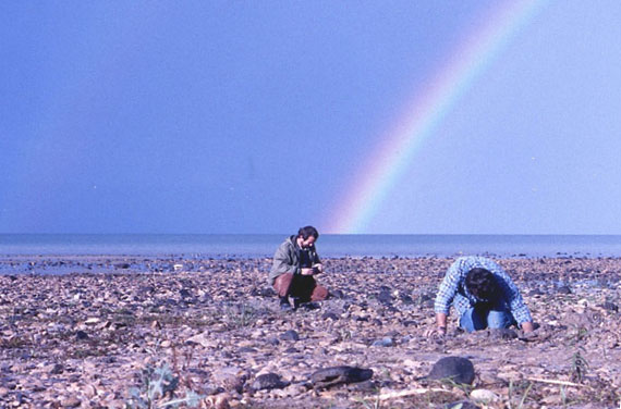 First-century boat discovered