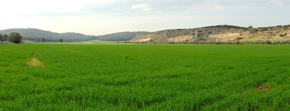 Elah Valley