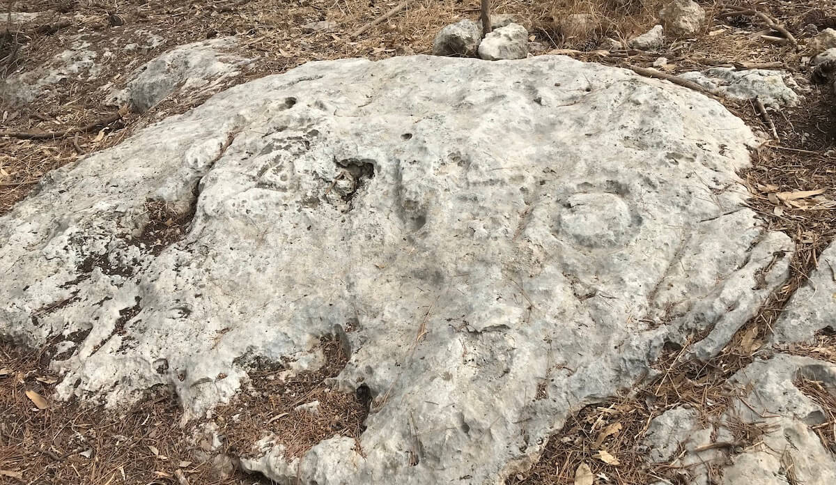 Gezer boundary stone 2018 closeup