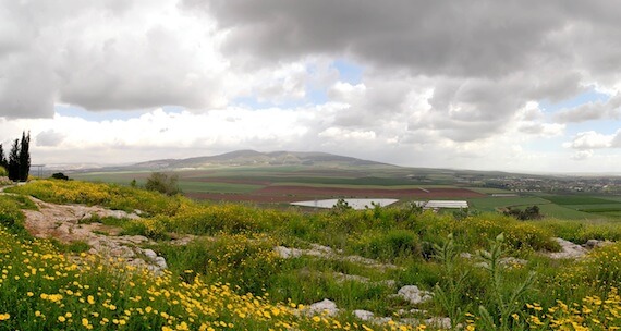 The Harod Valley