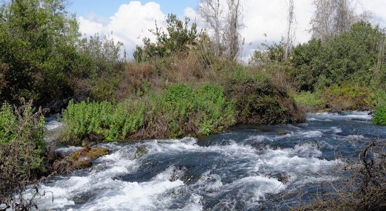 Headwaters of Jordan River at Tel Dan