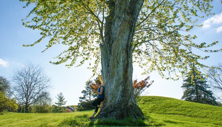 How the Spring Blows Open Your Backdoor to Hope