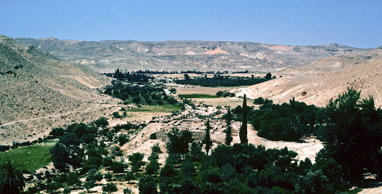 Kadesh Barnea from northeast