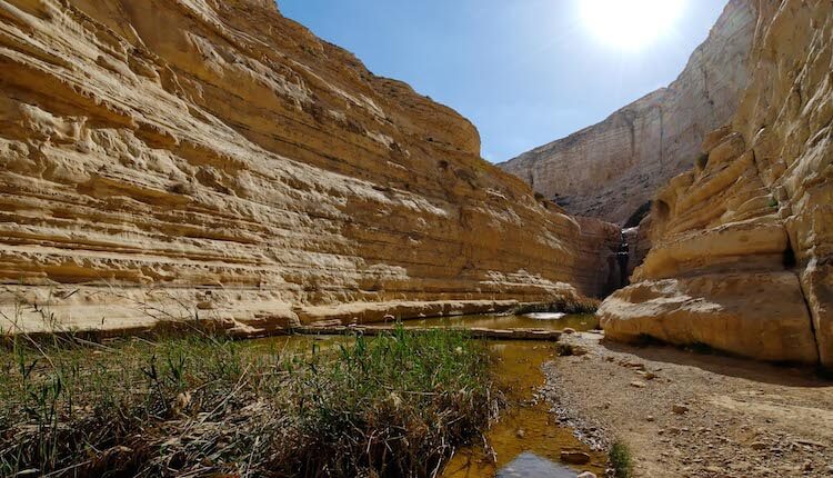 Nahal Zin and Avdat—A Biblical Border with a View