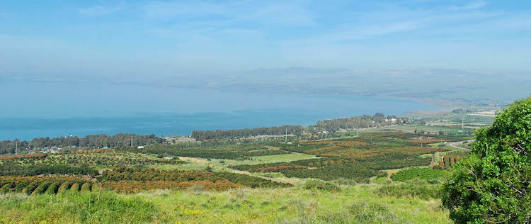 Tel Hadar beside the Sea of Galilee