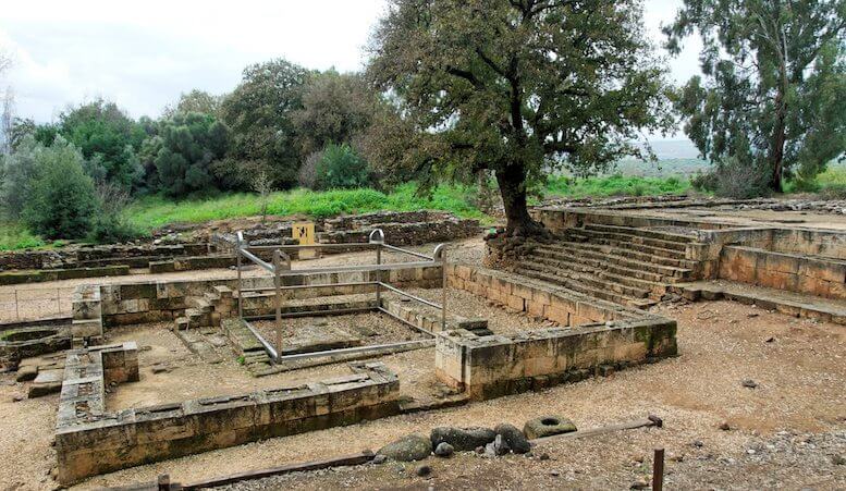 The high place and altar at Tel Dan